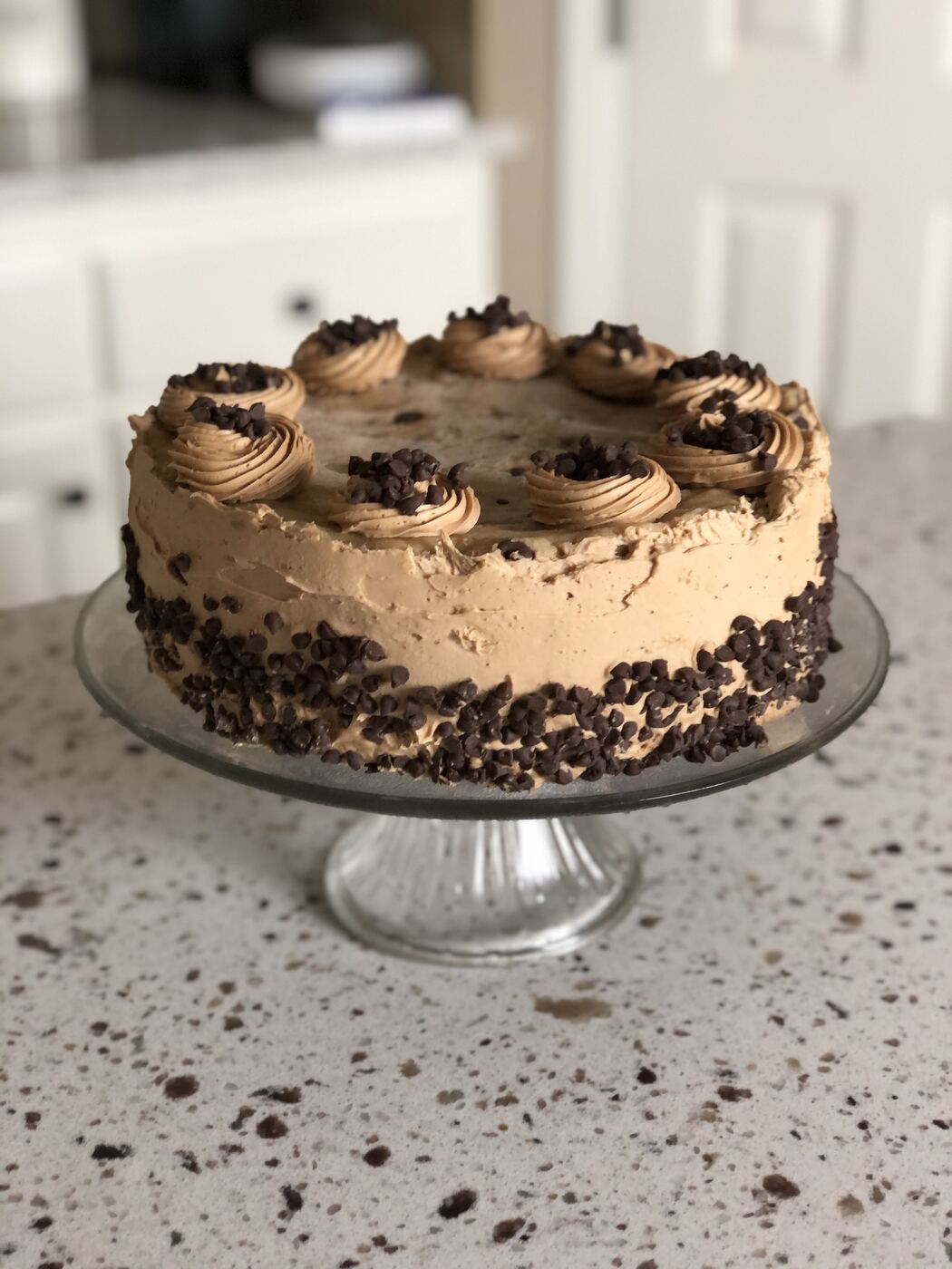 Mocha Oreo Cheesecake