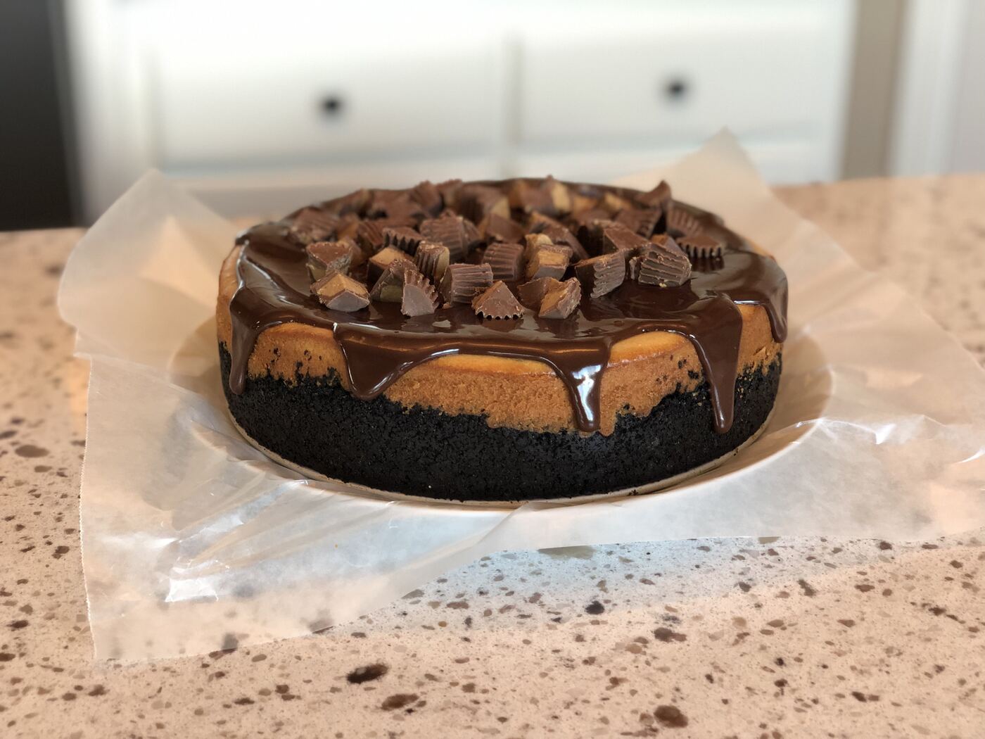 Peanut Butter Cup Cheesecake