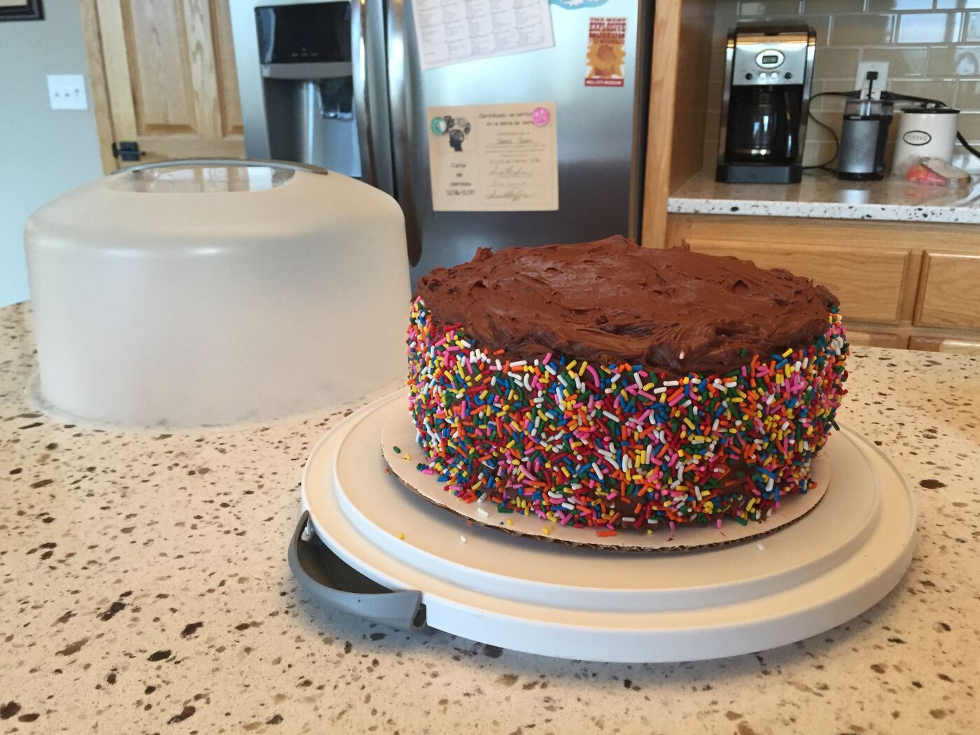 Rainbow Sprinkle Cake