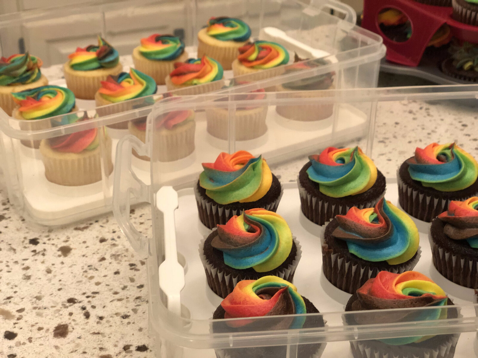 Gourmet Cupcakes